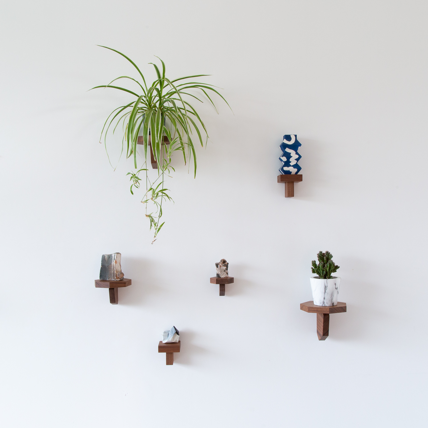Sculpture Shelves Photo